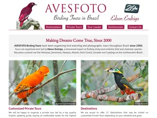 Aves Foto - Birding Tour in Brazil
