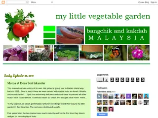 My little vegetable garden