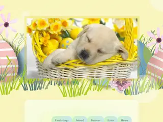 The Red Herring ✦✦✦✦ Collective