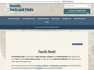 Everything Fossils...Fossil Information for Education, Collecting and Fun!