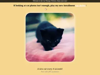 Cat Therapy - A Place To Relax