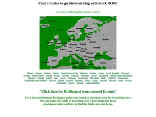 Find a birder to go birdwatching with in Europe