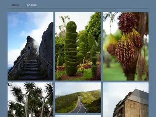 photography by alex rutar