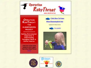 Everything About Hummingbirds--"Operation RubyThroat:The Hummingbird Project"