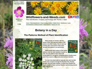 Wildflowers and Weeds: Identify plants, flowers, and weeds with Botany in a Day!
