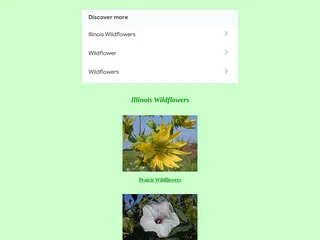 Illinois Wildflowers