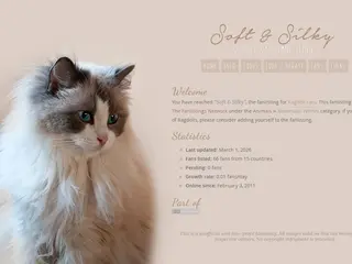 Soft & Silky  ||  Cats: Ragdoll fanlisting