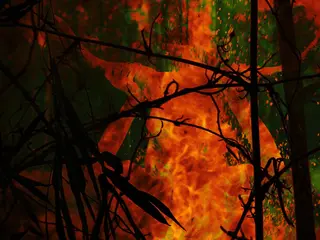 The Burning Days - The Witches Fanlisting