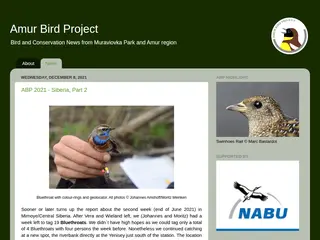 Amur Bird Project