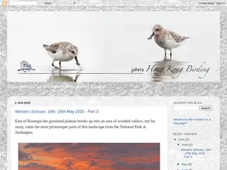 John's Hong Kong Birding