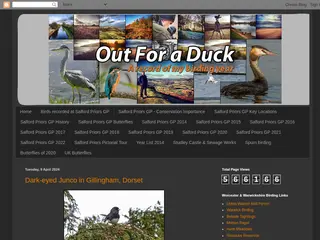 Out4aduck - A record of my birding year