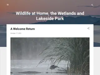Wildlife at Home, the Wetlands and Lakeside Park
