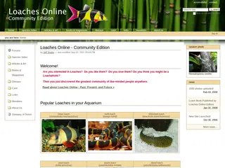 Loaches Online - Community Edition — Loaches Online