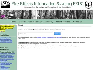 Home page, Fire Effects Information System