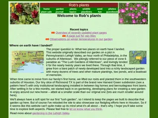 Rob's plants