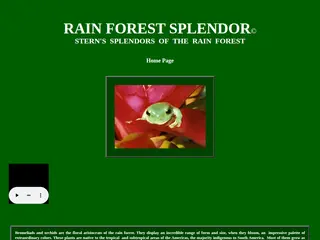 SPLENDORS OF THE RAIN FOREST